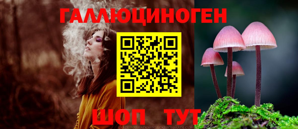 Галлюциногенные грибы Psilocybine cubensis  Вход с VPN  Галлюциногенные грибы мицелий  где найти   Верхняя Салда 